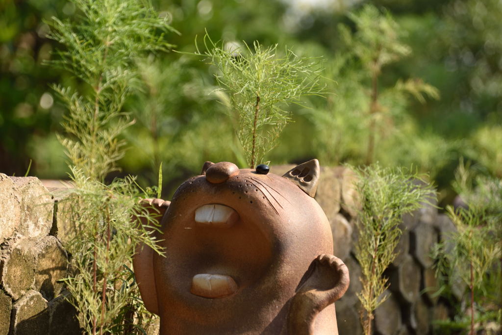 Something Shigaraki-yaki