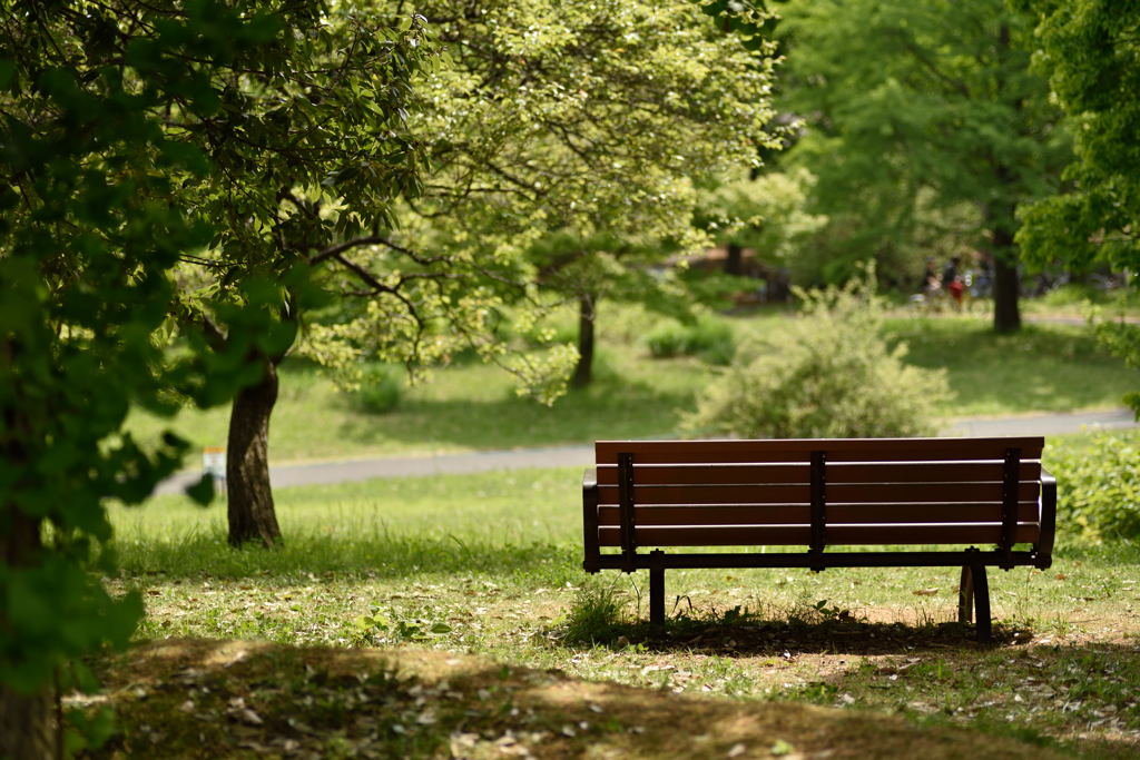 Bench in the Healing...