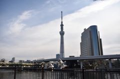 年明けの戯れ