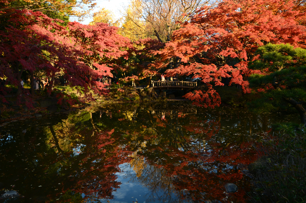 都心の風景？
