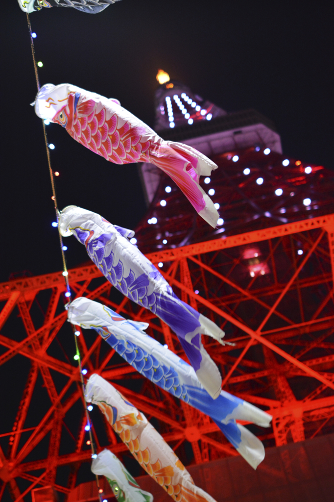夜でも元気に泳ぎます