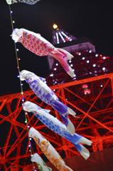 夜でも元気に泳ぎます