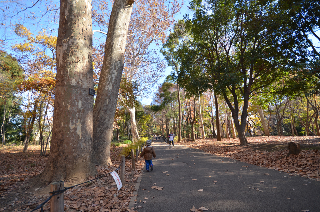 冬の公園