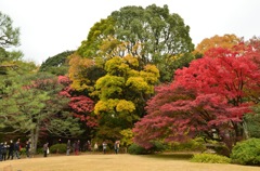 六義園の秋