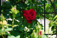 DSC01204