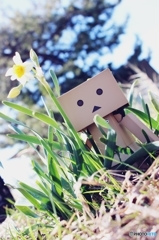 *見つかっちゃった