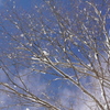 P1000342