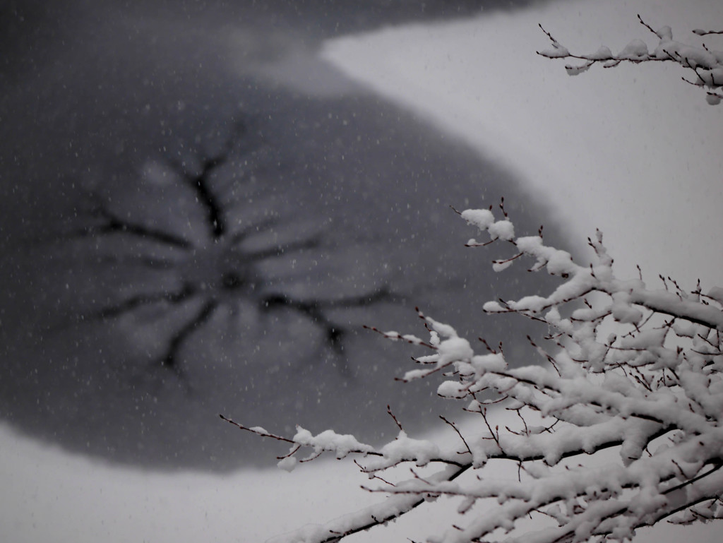 雪国2
