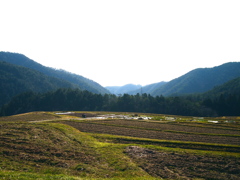里山