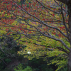 宝ケ池_K32_5857