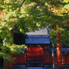 天龍寺_K32_4953