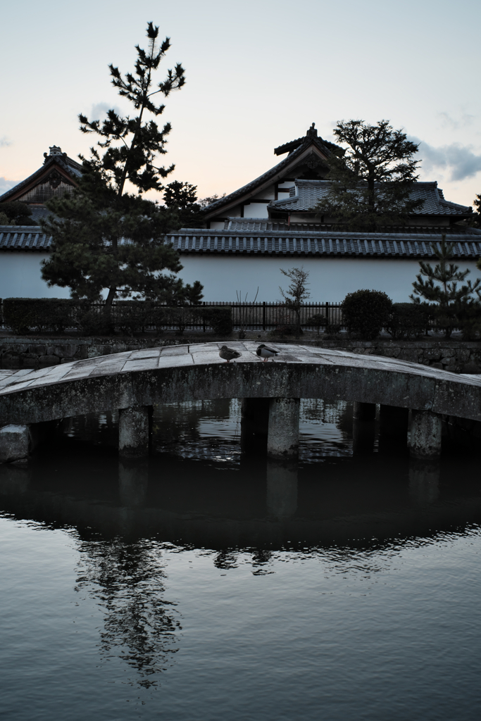 北野天満宮４_2322