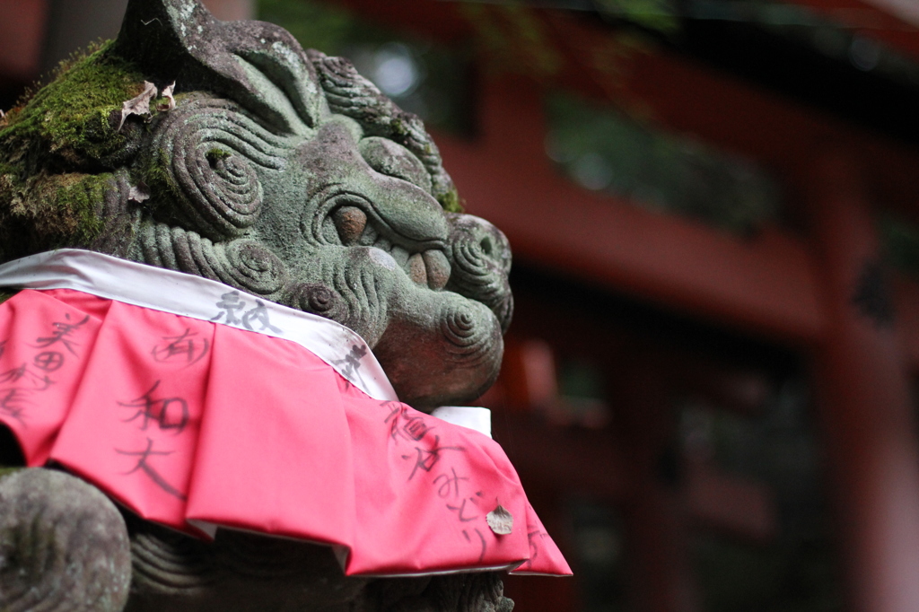 稲荷の狛犬
