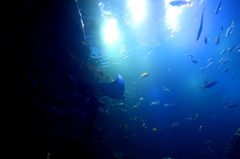 水族館