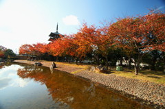 地元の公園