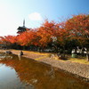 地元の公園