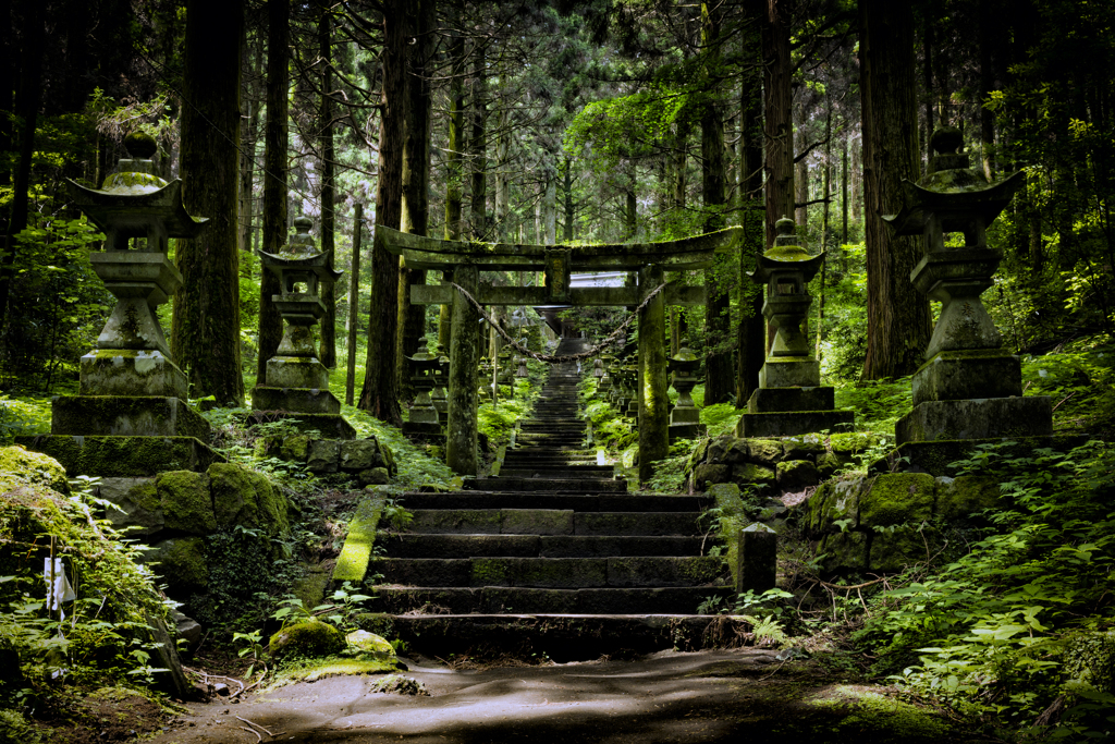 緑彩