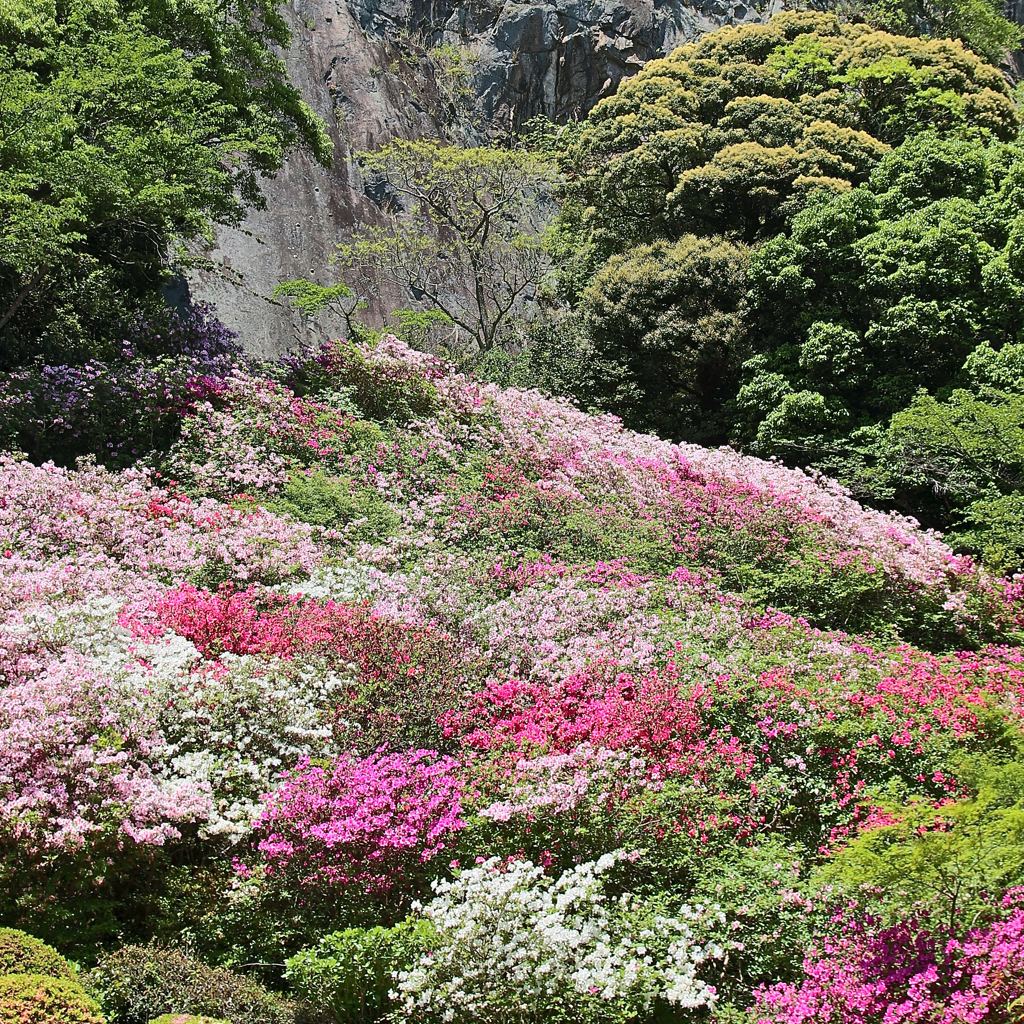 御船山楽園 (2)