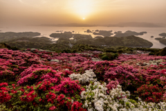 長串山つつじの夕映え