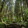 深緑-Deep green-