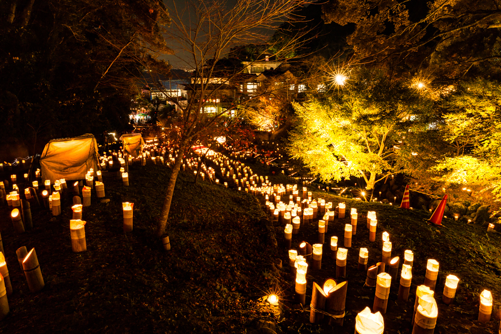 灯りの川