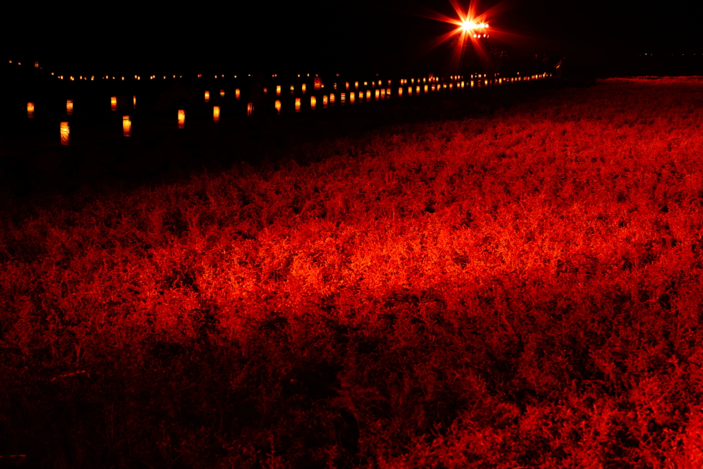 LedCarpet