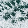 旅情の海