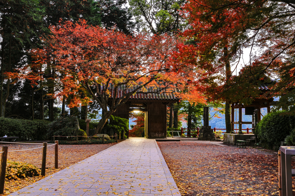 紅葉の飾る門への道