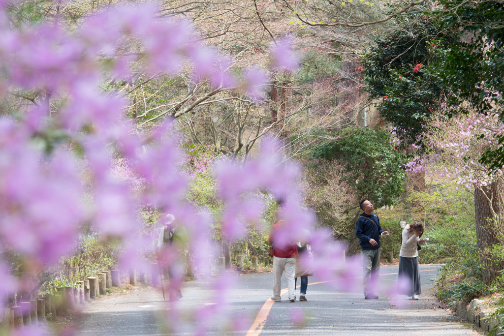 landscape - 283 "へーっちょ！"
