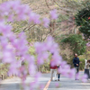 landscape - 283 "へーっちょ！"