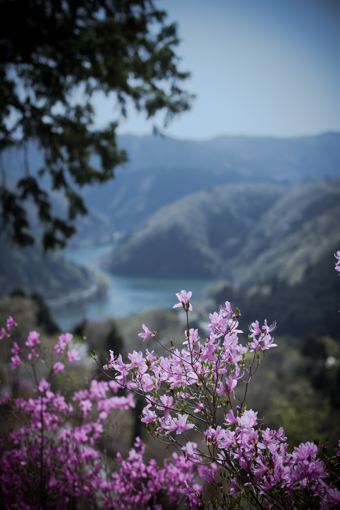 landscape - 287 秘境