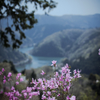 landscape - 287 秘境
