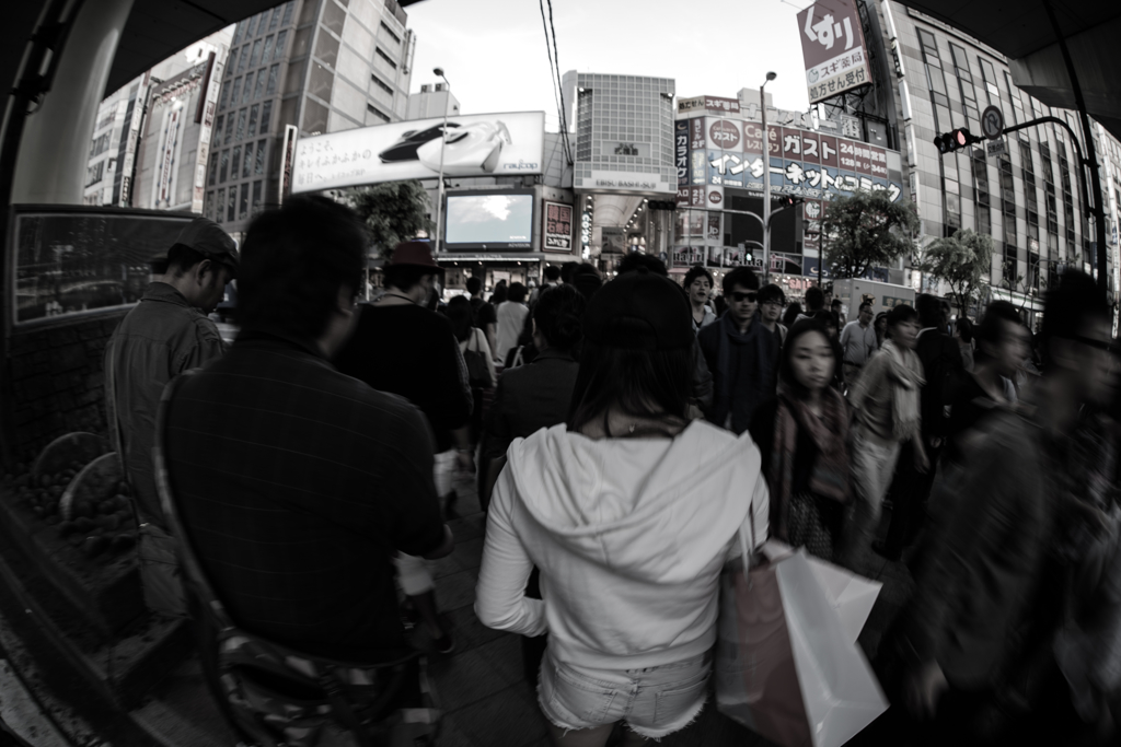 landscape - 330 みっしり