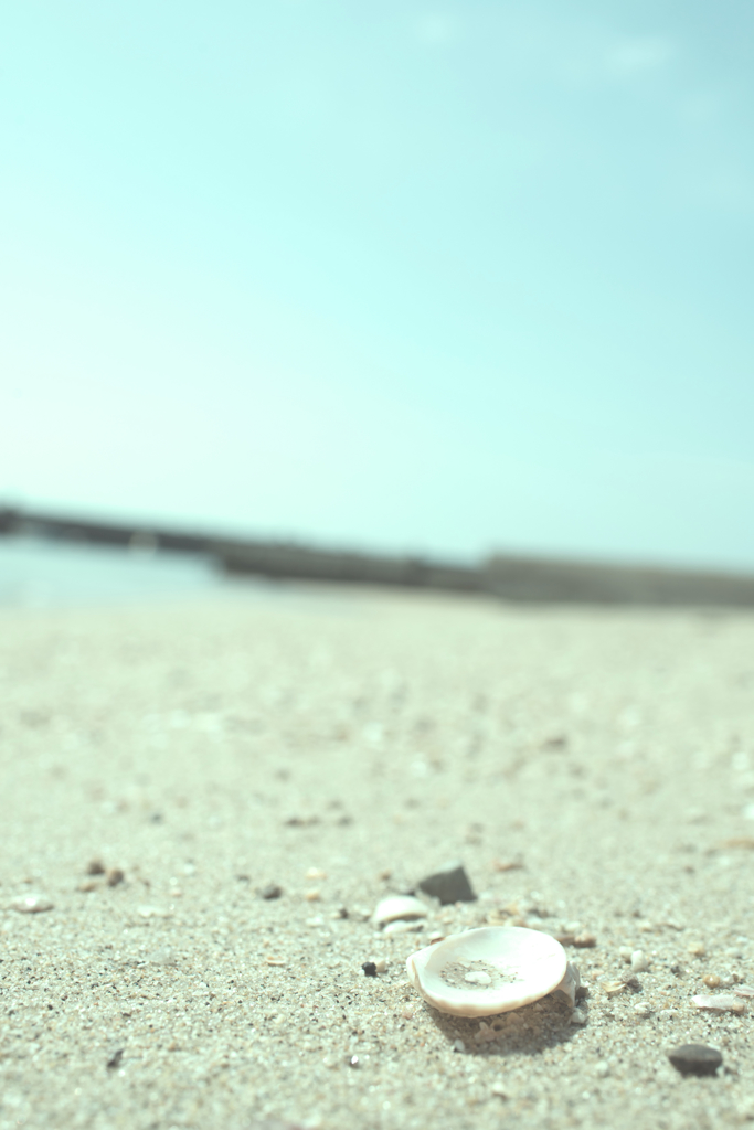 landscape - 254 海辺