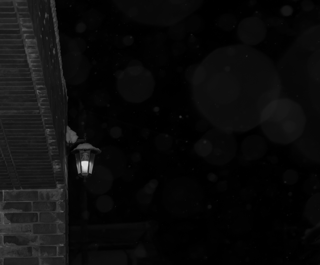 3月に降る雪