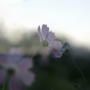 close to you...