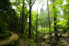 東林寺