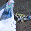 Don't throw your garbage!!