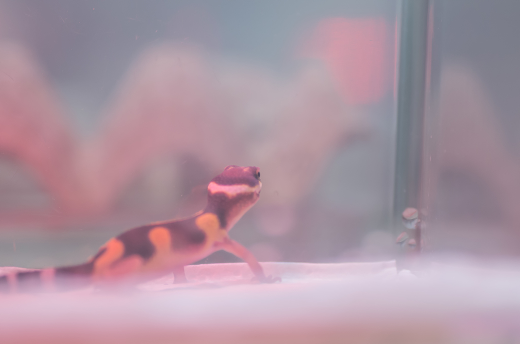 ソワソワ･･･