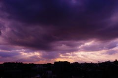 DSC04727