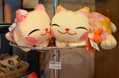 ちりめんニャンコ