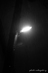 雨の日の街灯