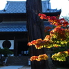 宝福寺と紅葉