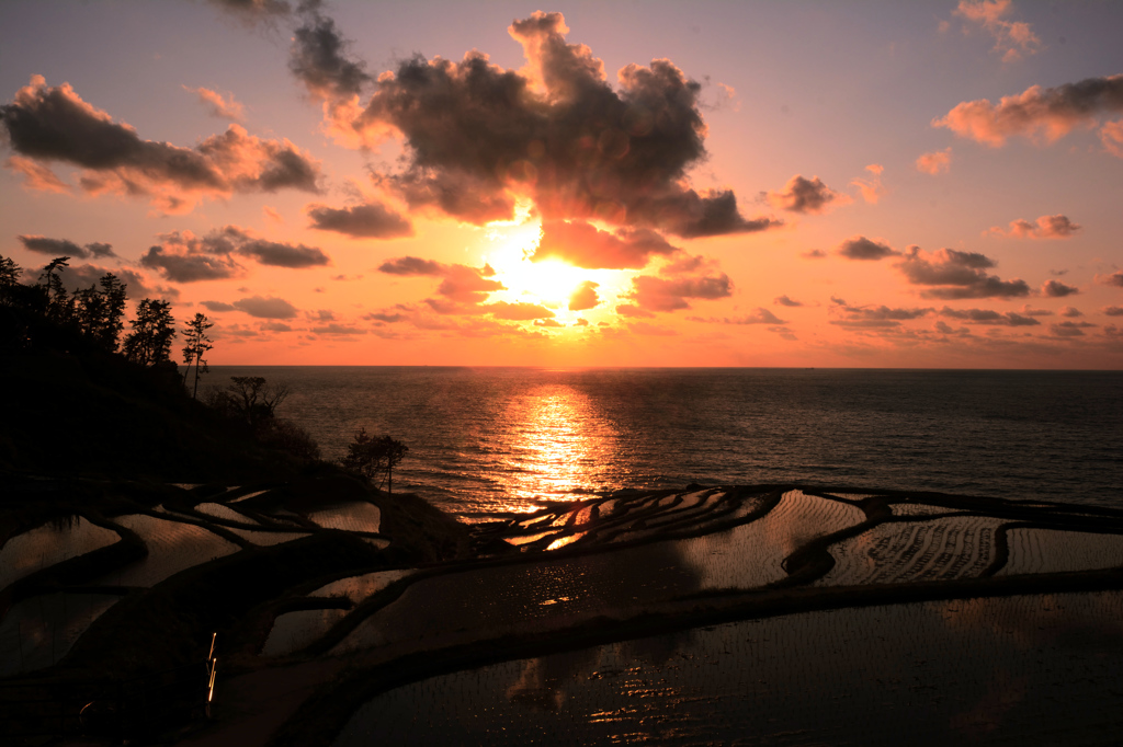 白米千枚田の夕景