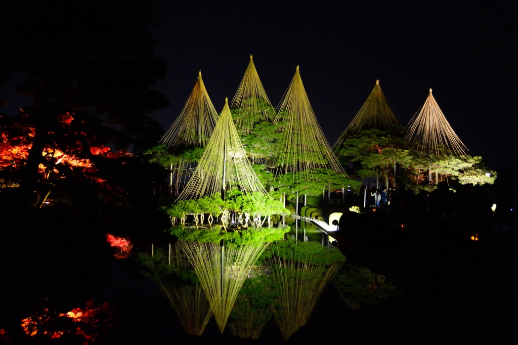 兼六園雪吊り 2014秋