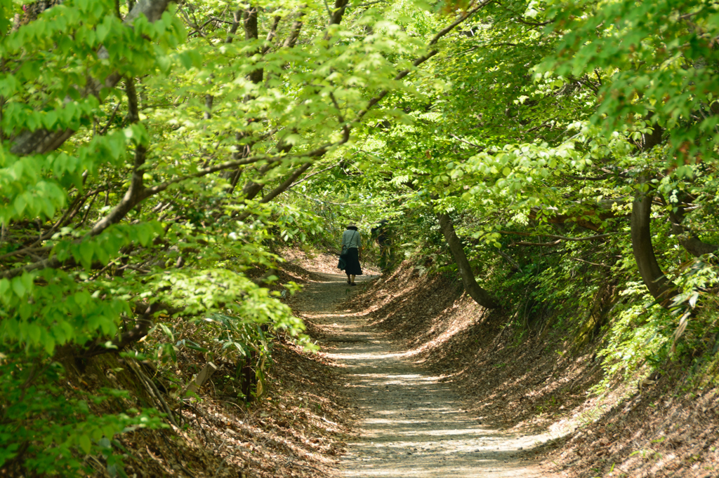 倶利伽羅古道