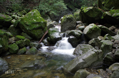 朝滝