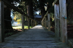 神聖な橋