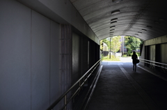 通学