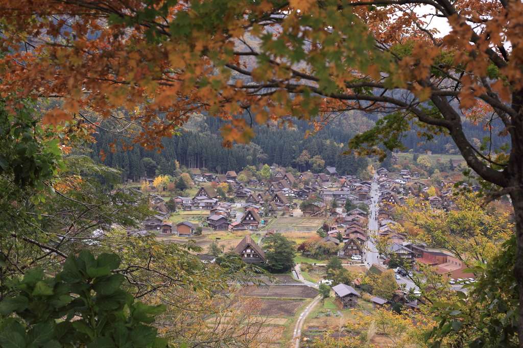 合掌造り